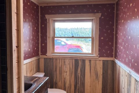 bathroom-remodel-beetle