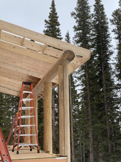 Log cabin under construction and orange ladder in mature forest