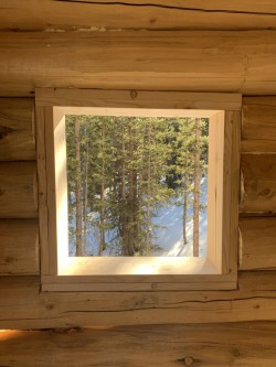 Forest view through upstairs log cabin window