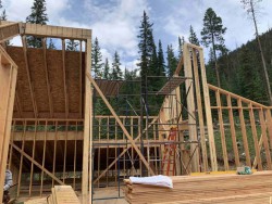 Framework for custom home surrounded by large trees